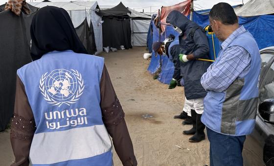 فريق تابع لمكتب صحة البيئة في وكالة الأونروا يقوم برش المبيدات الحشرية في أحد مخيمات النزوح في منطقة المواصي بخان يونس، غزة.